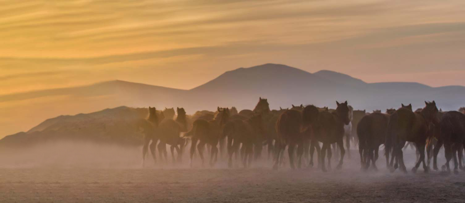 Tate Mortuary of Tooele, UT